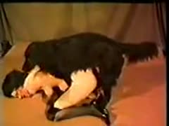 In the living room, a pretty dark-haired Polish bitch is having sex with her stepbrother.